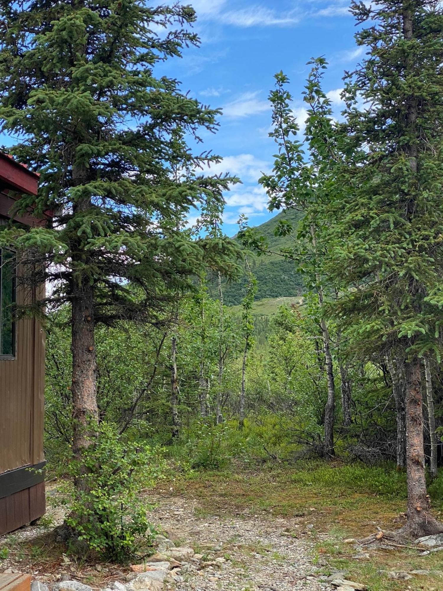 Denali Rv Park & Motel Healy Zewnętrze zdjęcie